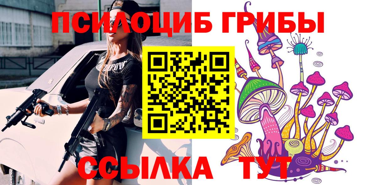 Заводоуковск  Псилоцибиновые грибы мицелий  Вход с VPN 