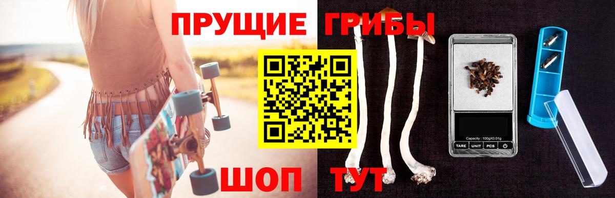 Галлюциногенные грибы прущие грибы Заводоуковск